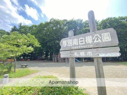 画像17:厚別南白樺公園(公園)まで1251m