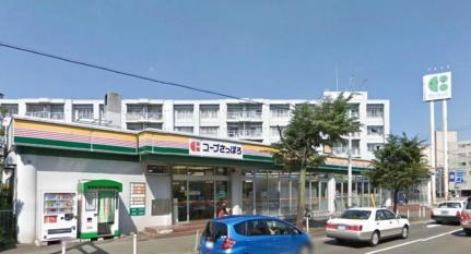 コーポエクセルショール（住居） 402｜北海道札幌市豊平区中の島一条２丁目(賃貸マンション2LDK・4階・55.26㎡)の写真 その18