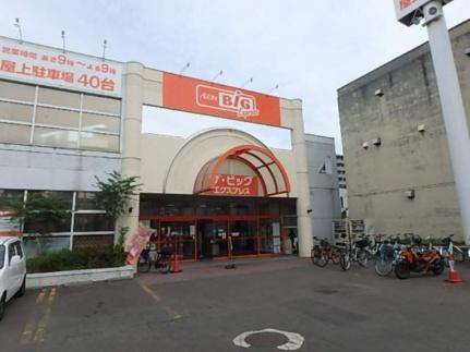 画像18:マックスバリュ北海道（株）／ザ・ビッグエクスプレス白石中央店(スーパー)まで248m