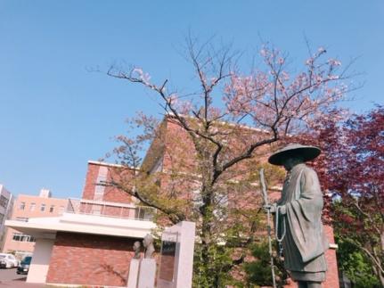 画像5:札幌大谷大学・短期大学部同窓会(大学・短大)まで140m