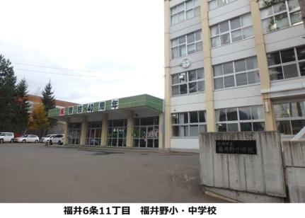 画像18:福井野小学校(小学校)まで768m