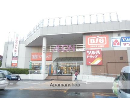 画像16:ザ・ビッグ江別店(スーパー)まで438m
