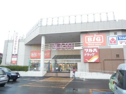 画像18:ザ・ビッグ江別店(スーパー)まで347m