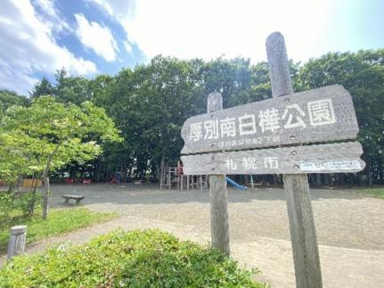 画像14:厚別南白樺公園(公園)まで278m