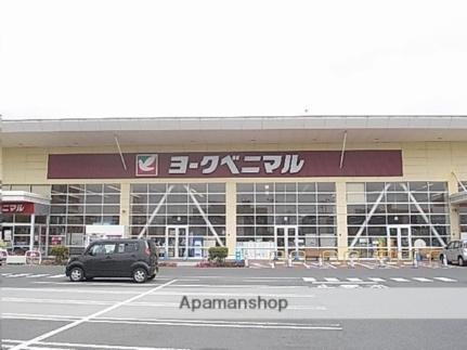画像14:ヨークベニマル新田東店(スーパー)まで667m