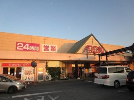 画像13:イオン那珂町店(スーパー)まで276m