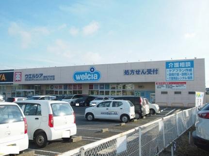 画像18:ウェルシア鹿嶋プラザ店(その他周辺施設)まで542m