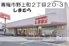 プレミアム 202 ｜ 東京都青梅市大門３丁目（賃貸アパート1K・2階・18.94㎡） その17