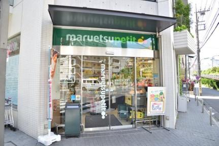 ＭＩＮＡＭＩＡＺＡＢＵ　ＮＯＲＴＨ 806号室｜東京都港区南麻布２丁目(賃貸マンション1K・8階・25.09㎡)の写真 その4