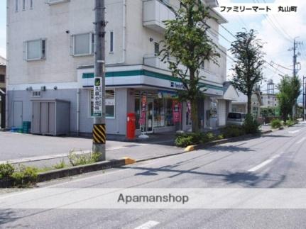 画像17:ファミリーマート飯田丸山店(コンビニ)まで350m
