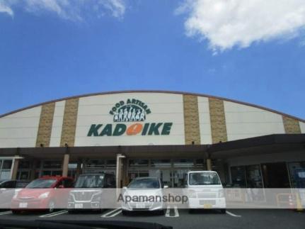 画像16:スーパーカドイケ三島田町店(スーパー)まで348m
