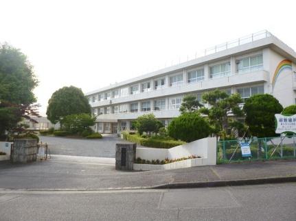 画像14:富士見台小学校(小学校)まで306m