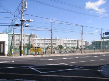 画像7:常盤小学校(小学校)まで246m