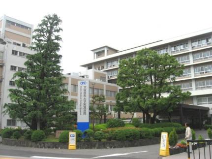 画像13:大阪医科薬科大学病院(病院)まで308m