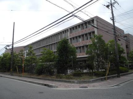 画像17:阪南大学高等学校(高校・高専)まで456m