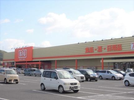 画像17:ザ・ビッグ平島店(スーパー)まで187m