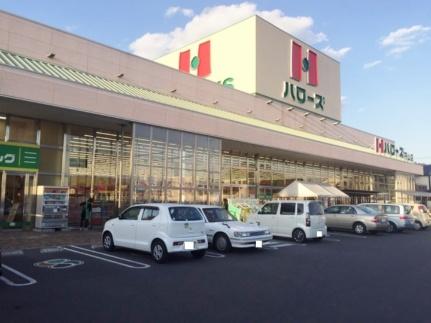 画像18:ハローズ円山店(スーパー)まで1309m