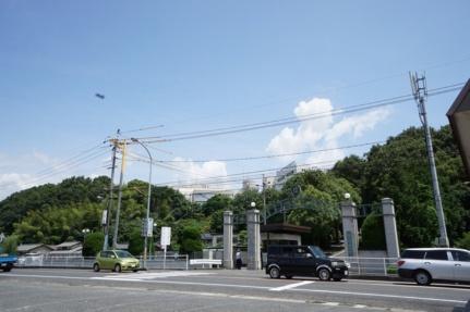 画像17:岡山学院大学岡山短期大学(大学・短大)まで752m