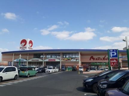 画像14:マルナカ　　　　　　　下中野店(スーパー)まで1000m