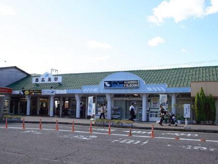 メープル西観音 501号室｜広島県広島市西区西観音町(賃貸マンション1R・5階・15.60㎡)の写真 その26