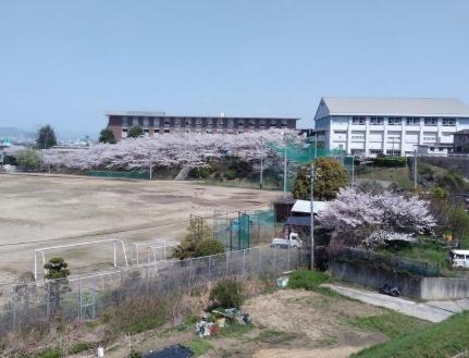 レオパレスＬａ　Ｎｉｎａ 204｜広島県福山市水呑町(賃貸アパート1K・2階・28.02㎡)の写真 その15