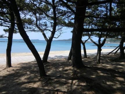 画像14:菊ヶ浜海岸(その他周辺施設)まで2100m