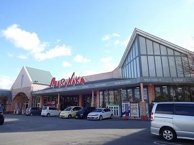 画像15:マルナカ徳島空港店様(スーパー)まで1600m