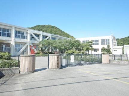 画像18:鳴門市桑島小学校(小学校)まで610m