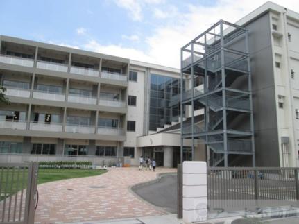 画像18:河野小学校(小学校)まで4674m