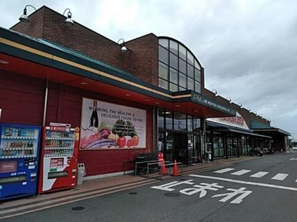 画像14:マルヨシセンター　伊予店(スーパー)まで313m