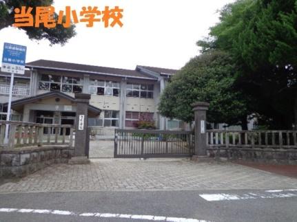 画像15:当尾小学校(小学校)まで1300m