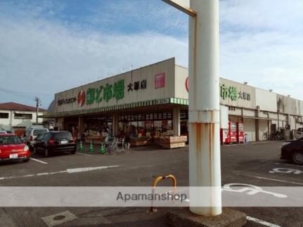 画像17:ハツトリー鮮ど市場大塚店(スーパー)まで482m