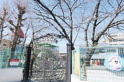 ヴィオラ・ボヌール