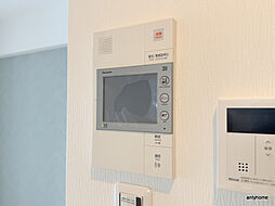 Cherry Blossom 五条通