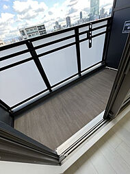 エステムコート難波サウスプレイスVIIリアン