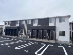 Amore grace(アモーレ グレイス)